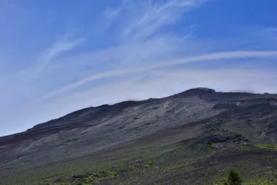 DSC_3653 (Large).JPG